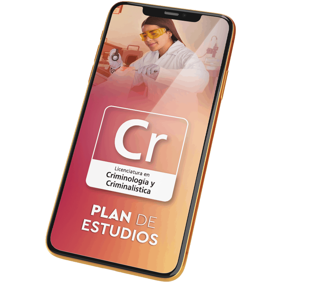 Plan de Estudios